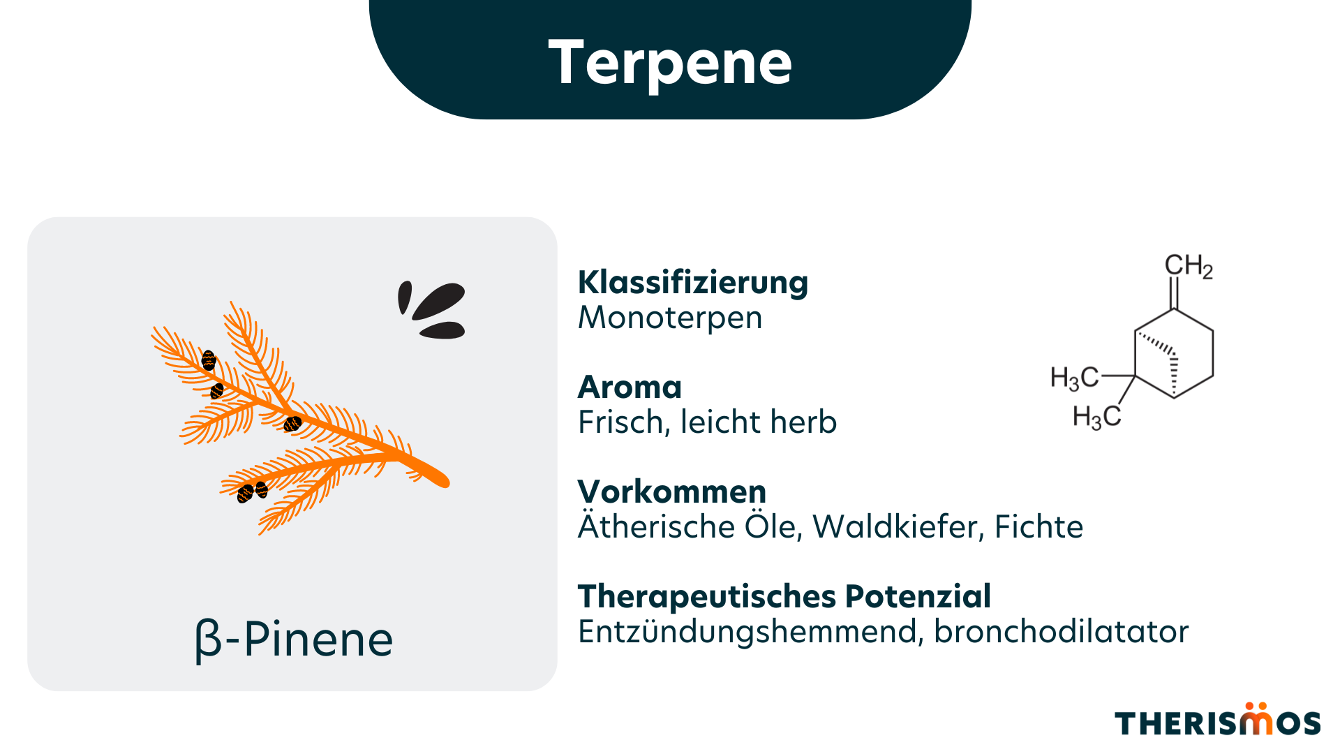 beta_Pinene_Terpene_Medizinal_Cannabis_Therismos