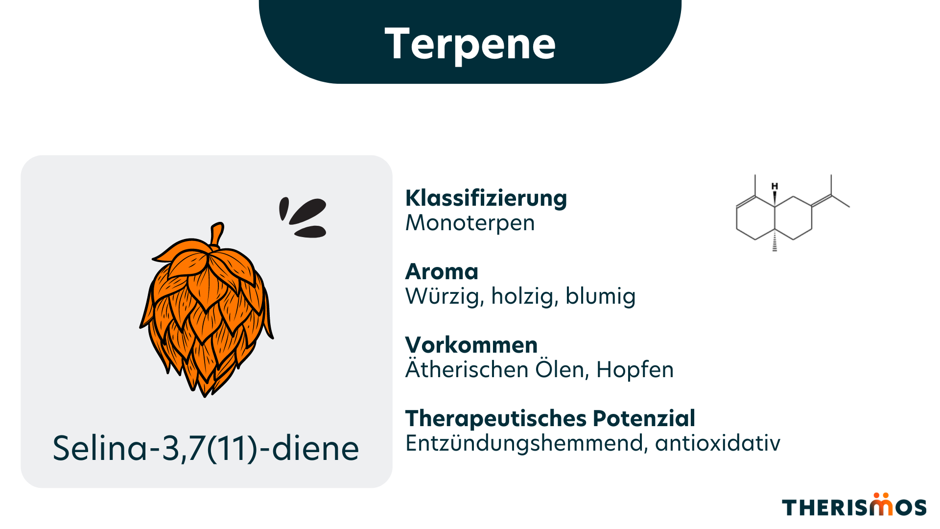 Selina_Terpene_Medizinal_Cannabis_Therismos