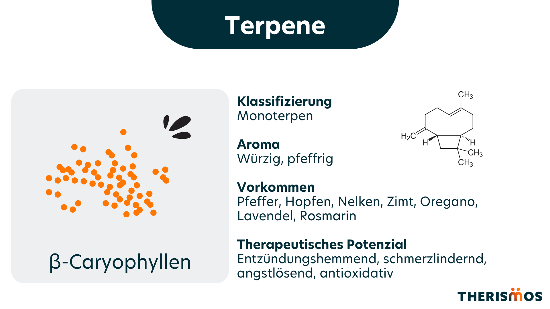 beta_Caryophyllen_Terpene_Medizinal_Cannabis_Therismos