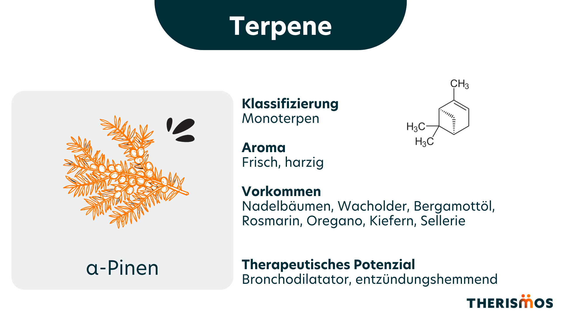 alpha_Pinene_Terpene_Medizinal_Cannabis_Therismos