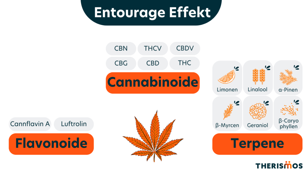 Entourage_Effekt_Medizinal_Cannabis_Therismos