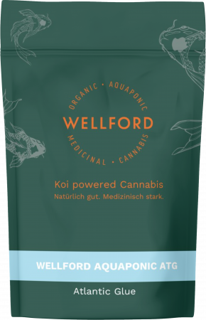 Atlantic Glue_Cannabis_Wellford_Aquaponic_Therismos Atlantic Glue_Cannabis_Wellford_Aquaponic_Therismos