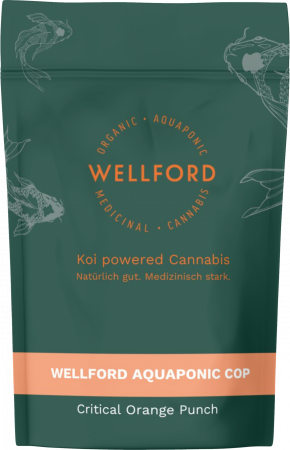 Critical Orange Punch_Cannabis_Wellford_Aquaponic_Therismos