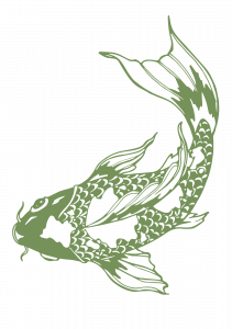 Koi Fish Aqualitas Cannabis grün