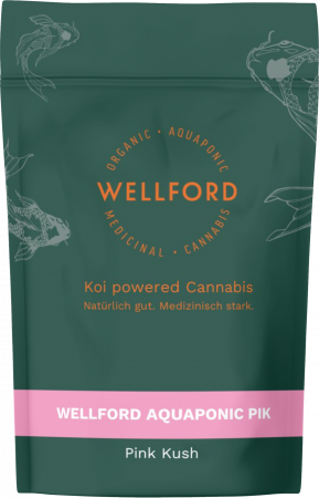 Pink Kush_Cannabis_Wellford_Aquaponic_Therismos