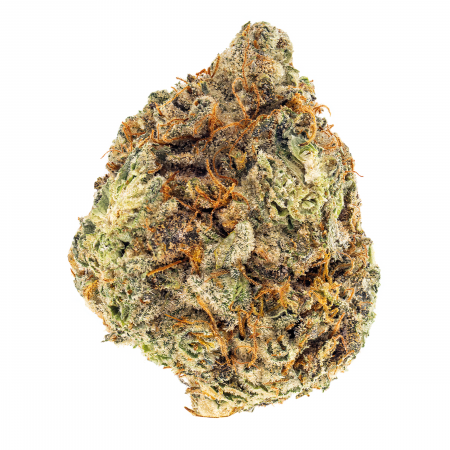 WELLFORD-AQUA-ATG-BUD-2