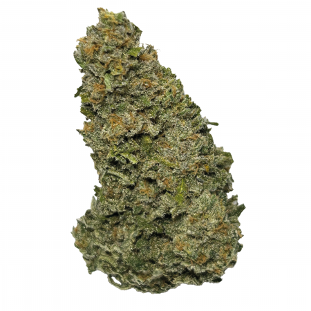 WELLFORD-AQUA-GTH-BUD-2