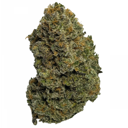 WELLFORD-AQUA-LBO-BUD-2